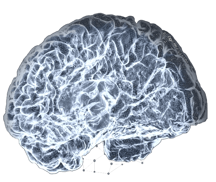 Translucent human brain representing private thought and emotional signals